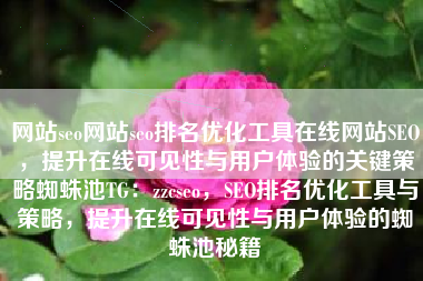 网站seo网站seo排名优化工具在线网站SEO，提升在线可见性与用户体验的关键策略蜘蛛池TG：zzcseo，SEO排名优化工具与策略，提升在线可见性与用户体验的蜘蛛池秘籍