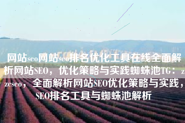网站seo网站seo排名优化工具在线全面解析网站SEO，优化策略与实践蜘蛛池TG：zzcseo，全面解析网站SEO优化策略与实践，SEO排名工具与蜘蛛池解析