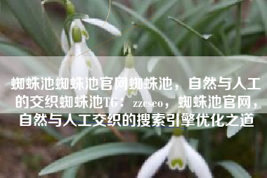 蜘蛛池蜘蛛池官网蜘蛛池，自然与人工的交织蜘蛛池TG：zzcseo，蜘蛛池官网，自然与人工交织的搜索引擎优化之道