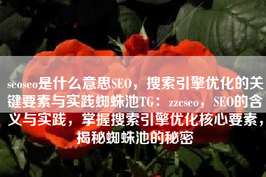 seoseo是什么意思SEO，搜索引擎优化的关键要素与实践蜘蛛池TG：zzcseo，SEO的含义与实践，掌握搜索引擎优化核心要素，揭秘蜘蛛池的秘密