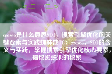 seoseo是什么意思SEO，搜索引擎优化的关键要素与实践蜘蛛池TG：zzcseo，SEO的含义与实践，掌握搜索引擎优化核心要素，揭秘蜘蛛池的秘密
