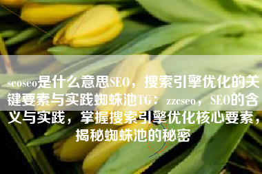 seoseo是什么意思SEO，搜索引擎优化的关键要素与实践蜘蛛池TG：zzcseo，SEO的含义与实践，掌握搜索引擎优化核心要素，揭秘蜘蛛池的秘密