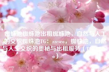 蜘蛛池蜘蛛池出租蜘蛛池，自然与人工的交织蜘蛛池TG：zzcseo，蜘蛛池，自然与人工交织的奥秘与出租服务（TG，zzcseo）