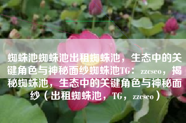 蜘蛛池蜘蛛池出租蜘蛛池，生态中的关键角色与神秘面纱蜘蛛池TG：zzcseo，揭秘蜘蛛池，生态中的关键角色与神秘面纱（出租蜘蛛池，TG，zzcseo）