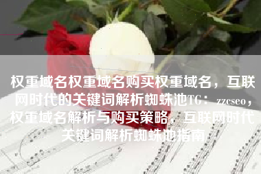 权重域名权重域名购买权重域名，互联网时代的关键词解析蜘蛛池TG：zzcseo，权重域名解析与购买策略，互联网时代关键词解析蜘蛛池指南