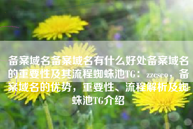 备案域名备案域名有什么好处备案域名的重要性及其流程蜘蛛池TG：zzcseo，备案域名的优势，重要性、流程解析及蜘蛛池TG介绍