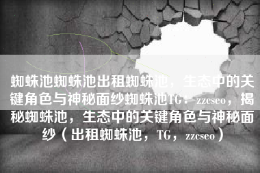 蜘蛛池蜘蛛池出租蜘蛛池，生态中的关键角色与神秘面纱蜘蛛池TG：zzcseo，揭秘蜘蛛池，生态中的关键角色与神秘面纱（出租蜘蛛池，TG，zzcseo）