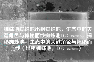 蜘蛛池蜘蛛池出租蜘蛛池，生态中的关键角色与神秘面纱蜘蛛池TG：zzcseo，揭秘蜘蛛池，生态中的关键角色与神秘面纱（出租蜘蛛池，TG，zzcseo）