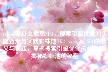 seoseo是什么意思SEO，搜索引擎优化的关键要素与实践蜘蛛池TG：zzcseo，SEO的含义与实践，掌握搜索引擎优化核心要素，揭秘蜘蛛池的秘密