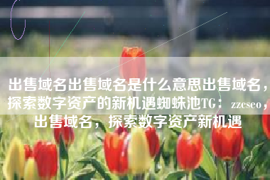 出售域名出售域名是什么意思出售域名，探索数字资产的新机遇蜘蛛池TG：zzcseo，出售域名，探索数字资产新机遇