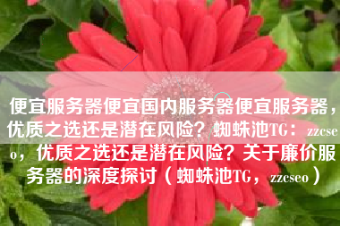 便宜服务器便宜国内服务器便宜服务器，优质之选还是潜在风险？蜘蛛池TG：zzcseo，优质之选还是潜在风险？关于廉价服务器的深度探讨（蜘蛛池TG，zzcseo）