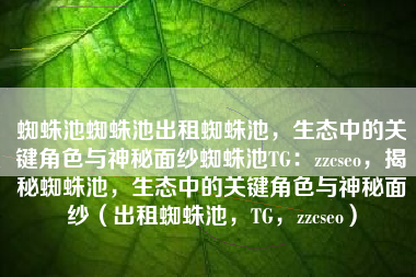 蜘蛛池蜘蛛池出租蜘蛛池，生态中的关键角色与神秘面纱蜘蛛池TG：zzcseo，揭秘蜘蛛池，生态中的关键角色与神秘面纱（出租蜘蛛池，TG，zzcseo）