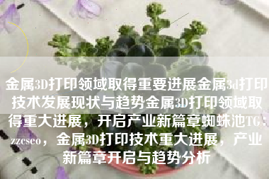 金属3D打印领域取得重要进展金属3d打印技术发展现状与趋势金属3D打印领域取得重大进展，开启产业新篇章蜘蛛池TG：zzcseo，金属3D打印技术重大进展，产业新篇章开启与趋势分析