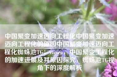 中国聚变加速迈向工程化中国聚变加速迈向工程化的原因中国聚变加速迈向工程化蜘蛛池TG：zzcseo，中国聚变工程化的加速进展及其原因探究，蜘蛛池TG视角下的深度解析