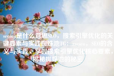 seoseo是什么意思SEO，搜索引擎优化的关键要素与实践蜘蛛池TG：zzcseo，SEO的含义与实践，掌握搜索引擎优化核心要素，揭秘蜘蛛池的秘密