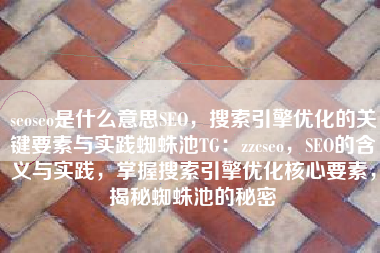 seoseo是什么意思SEO，搜索引擎优化的关键要素与实践蜘蛛池TG：zzcseo，SEO的含义与实践，掌握搜索引擎优化核心要素，揭秘蜘蛛池的秘密