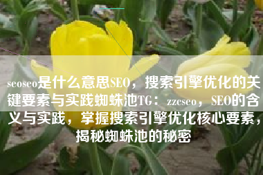 seoseo是什么意思SEO，搜索引擎优化的关键要素与实践蜘蛛池TG：zzcseo，SEO的含义与实践，掌握搜索引擎优化核心要素，揭秘蜘蛛池的秘密