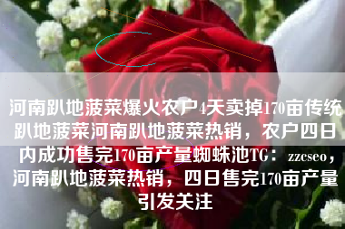 河南趴地菠菜爆火农户4天卖掉170亩传统趴地菠菜河南趴地菠菜热销，农户四日内成功售完170亩产量蜘蛛池TG：zzcseo，河南趴地菠菜热销，四日售完170亩产量引发关注