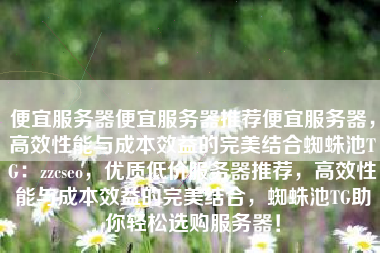 便宜服务器便宜服务器推荐便宜服务器，高效性能与成本效益的完美结合蜘蛛池TG：zzcseo，优质低价服务器推荐，高效性能与成本效益的完美结合，蜘蛛池TG助你轻松选购服务器！