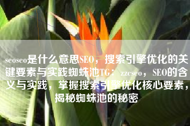 seoseo是什么意思SEO，搜索引擎优化的关键要素与实践蜘蛛池TG：zzcseo，SEO的含义与实践，掌握搜索引擎优化核心要素，揭秘蜘蛛池的秘密