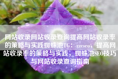 网站收录网站收录查询提高网站收录率的策略与实践蜘蛛池TG：zzcseo，提高网站收录率的策略与实践，蜘蛛池SEO技巧与网站收录查询指南