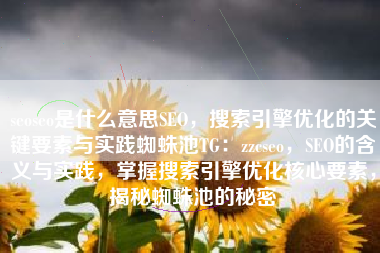 seoseo是什么意思SEO，搜索引擎优化的关键要素与实践蜘蛛池TG：zzcseo，SEO的含义与实践，掌握搜索引擎优化核心要素，揭秘蜘蛛池的秘密