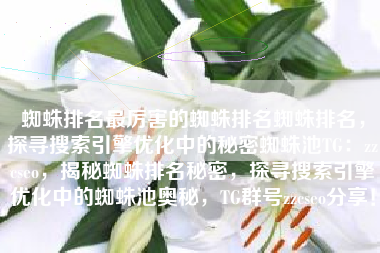 蜘蛛排名最厉害的蜘蛛排名蜘蛛排名，探寻搜索引擎优化中的秘密蜘蛛池TG：zzcseo，揭秘蜘蛛排名秘密，探寻搜索引擎优化中的蜘蛛池奥秘，TG群号zzcseo分享！