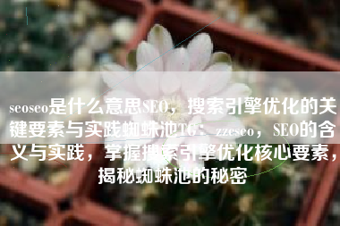 seoseo是什么意思SEO，搜索引擎优化的关键要素与实践蜘蛛池TG：zzcseo，SEO的含义与实践，掌握搜索引擎优化核心要素，揭秘蜘蛛池的秘密