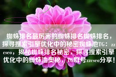 蜘蛛排名最厉害的蜘蛛排名蜘蛛排名，探寻搜索引擎优化中的秘密蜘蛛池TG：zzcseo，揭秘蜘蛛排名秘密，探寻搜索引擎优化中的蜘蛛池奥秘，TG群号zzcseo分享！