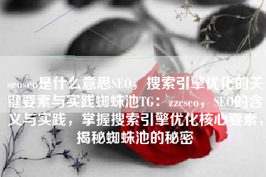 seoseo是什么意思SEO，搜索引擎优化的关键要素与实践蜘蛛池TG：zzcseo，SEO的含义与实践，掌握搜索引擎优化核心要素，揭秘蜘蛛池的秘密