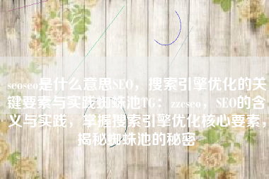 seoseo是什么意思SEO，搜索引擎优化的关键要素与实践蜘蛛池TG：zzcseo，SEO的含义与实践，掌握搜索引擎优化核心要素，揭秘蜘蛛池的秘密