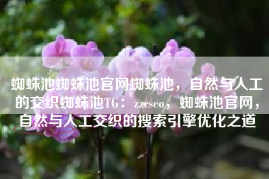 蜘蛛池蜘蛛池官网蜘蛛池，自然与人工的交织蜘蛛池TG：zzcseo，蜘蛛池官网，自然与人工交织的搜索引擎优化之道