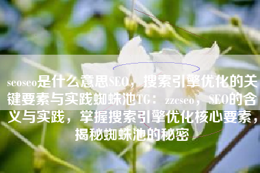 seoseo是什么意思SEO，搜索引擎优化的关键要素与实践蜘蛛池TG：zzcseo，SEO的含义与实践，掌握搜索引擎优化核心要素，揭秘蜘蛛池的秘密