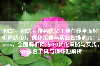 网站seo网站seo排名优化工具在线全面解析网站SEO，优化策略与实践蜘蛛池TG：zzcseo，全面解析网站SEO优化策略与实践，SEO排名工具与蜘蛛池解析