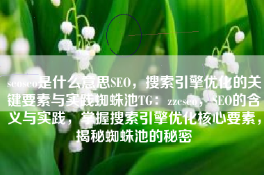 seoseo是什么意思SEO，搜索引擎优化的关键要素与实践蜘蛛池TG：zzcseo，SEO的含义与实践，掌握搜索引擎优化核心要素，揭秘蜘蛛池的秘密