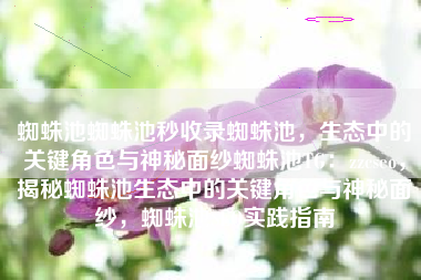 蜘蛛池蜘蛛池秒收录蜘蛛池，生态中的关键角色与神秘面纱蜘蛛池TG：zzcseo，揭秘蜘蛛池生态中的关键角色与神秘面纱，蜘蛛池SEO实践指南