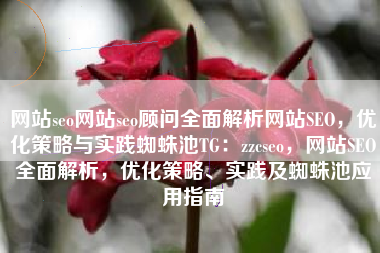 网站seo网站seo顾问全面解析网站SEO，优化策略与实践蜘蛛池TG：zzcseo，网站SEO全面解析，优化策略、实践及蜘蛛池应用指南