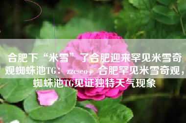 合肥下“米雪”了合肥迎来罕见米雪奇观蜘蛛池TG：zzcseo，合肥罕见米雪奇观，蜘蛛池TG见证独特天气现象