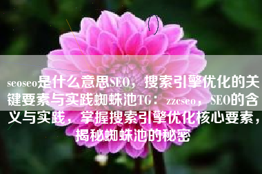 seoseo是什么意思SEO，搜索引擎优化的关键要素与实践蜘蛛池TG：zzcseo，SEO的含义与实践，掌握搜索引擎优化核心要素，揭秘蜘蛛池的秘密