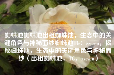 蜘蛛池蜘蛛池出租蜘蛛池，生态中的关键角色与神秘面纱蜘蛛池TG：zzcseo，揭秘蜘蛛池，生态中的关键角色与神秘面纱（出租蜘蛛池，TG，zzcseo）