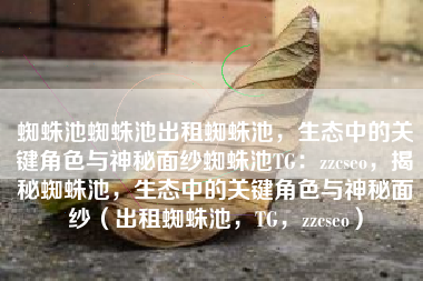 蜘蛛池蜘蛛池出租蜘蛛池，生态中的关键角色与神秘面纱蜘蛛池TG：zzcseo，揭秘蜘蛛池，生态中的关键角色与神秘面纱（出租蜘蛛池，TG，zzcseo）