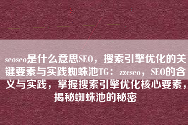 seoseo是什么意思SEO，搜索引擎优化的关键要素与实践蜘蛛池TG：zzcseo，SEO的含义与实践，掌握搜索引擎优化核心要素，揭秘蜘蛛池的秘密
