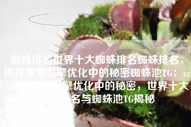 蜘蛛排名世界十大蜘蛛排名蜘蛛排名，探寻搜索引擎优化中的秘密蜘蛛池TG：zzcseo，搜索引擎优化中的秘密，世界十大蜘蛛排名与蜘蛛池TG揭秘