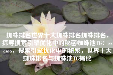 蜘蛛排名世界十大蜘蛛排名蜘蛛排名，探寻搜索引擎优化中的秘密蜘蛛池TG：zzcseo，搜索引擎优化中的秘密，世界十大蜘蛛排名与蜘蛛池TG揭秘