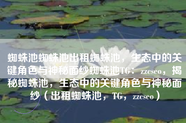 蜘蛛池蜘蛛池出租蜘蛛池，生态中的关键角色与神秘面纱蜘蛛池TG：zzcseo，揭秘蜘蛛池，生态中的关键角色与神秘面纱（出租蜘蛛池，TG，zzcseo）