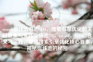 seoseo是什么意思SEO，搜索引擎优化的关键要素与实践蜘蛛池TG：zzcseo，SEO的含义与实践，掌握搜索引擎优化核心要素，揭秘蜘蛛池的秘密