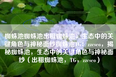 蜘蛛池蜘蛛池出租蜘蛛池，生态中的关键角色与神秘面纱蜘蛛池TG：zzcseo，揭秘蜘蛛池，生态中的关键角色与神秘面纱（出租蜘蛛池，TG，zzcseo）