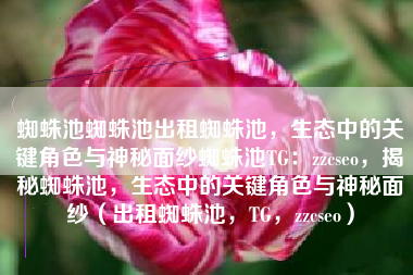 蜘蛛池蜘蛛池出租蜘蛛池，生态中的关键角色与神秘面纱蜘蛛池TG：zzcseo，揭秘蜘蛛池，生态中的关键角色与神秘面纱（出租蜘蛛池，TG，zzcseo）