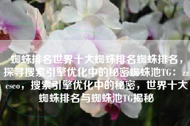 蜘蛛排名世界十大蜘蛛排名蜘蛛排名，探寻搜索引擎优化中的秘密蜘蛛池TG：zzcseo，搜索引擎优化中的秘密，世界十大蜘蛛排名与蜘蛛池TG揭秘
