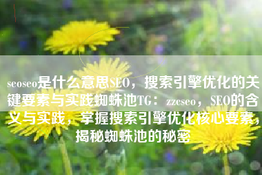 seoseo是什么意思SEO，搜索引擎优化的关键要素与实践蜘蛛池TG：zzcseo，SEO的含义与实践，掌握搜索引擎优化核心要素，揭秘蜘蛛池的秘密